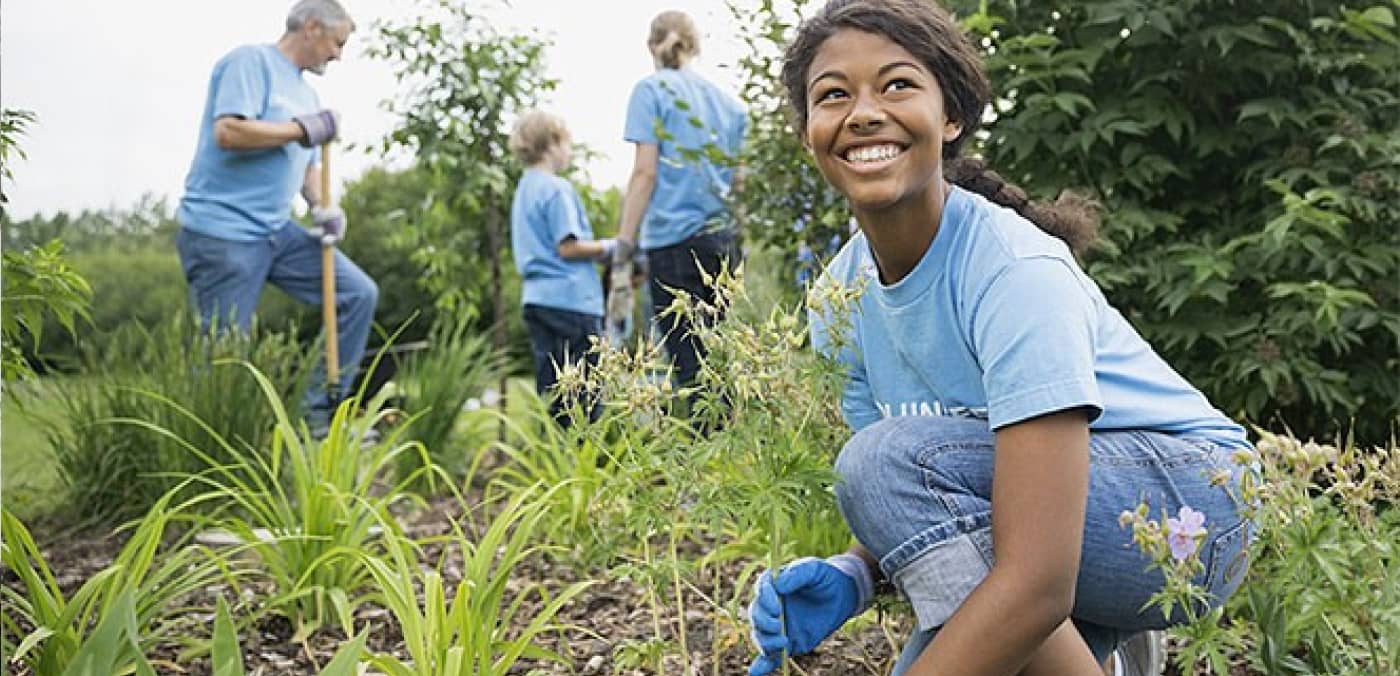 Farm Work Image